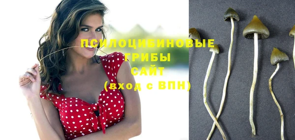 мет Абинск